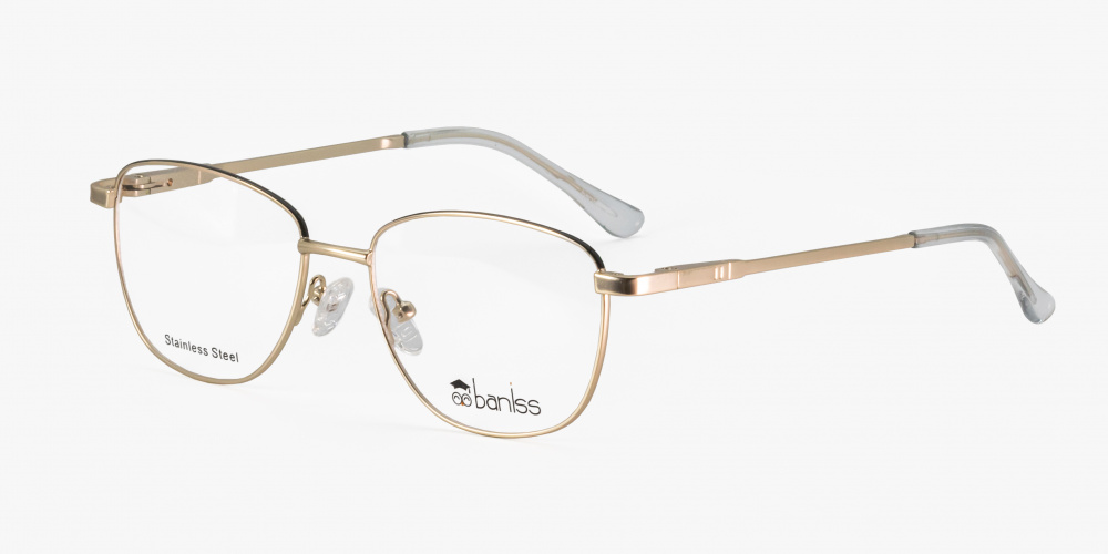 Baniss BR5111 col.02